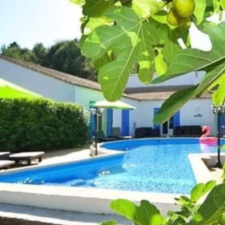La Villa Du Menhir Chambre D'Hotes Bize-Minervois Εξωτερικό φωτογραφία