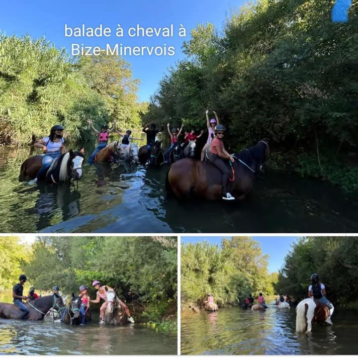La Villa Du Menhir Chambre D'Hotes Bize-Minervois Εξωτερικό φωτογραφία