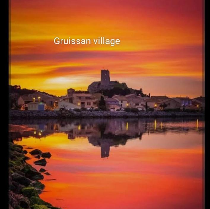 La Villa Du Menhir Chambre D'Hotes Bize-Minervois Εξωτερικό φωτογραφία